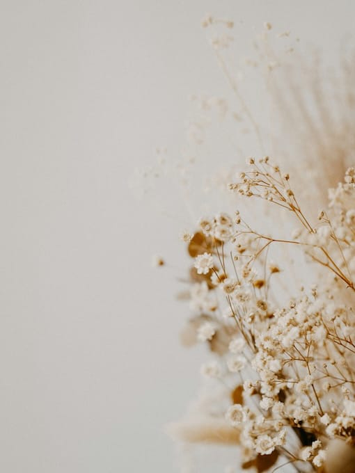 Close-up of delicate dried baby's breath flowers against a neutral, light background, with the flowers positioned on the right side of the image.